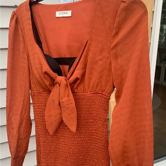 4/$15 NWOT Storia Terracotta smocked bodycon dress - Picture 3 of 7